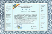 Licenta Servicii de Paza si Protectie
